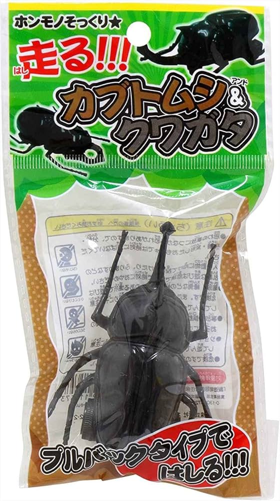 カブトムシ Amazon | 国産 天然カブトムシ 成虫 ペア Sサイズ（オス50.0mm